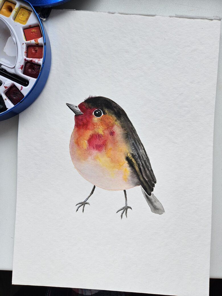 Red-Breasted Cheer. A4 Watercolor Painting.