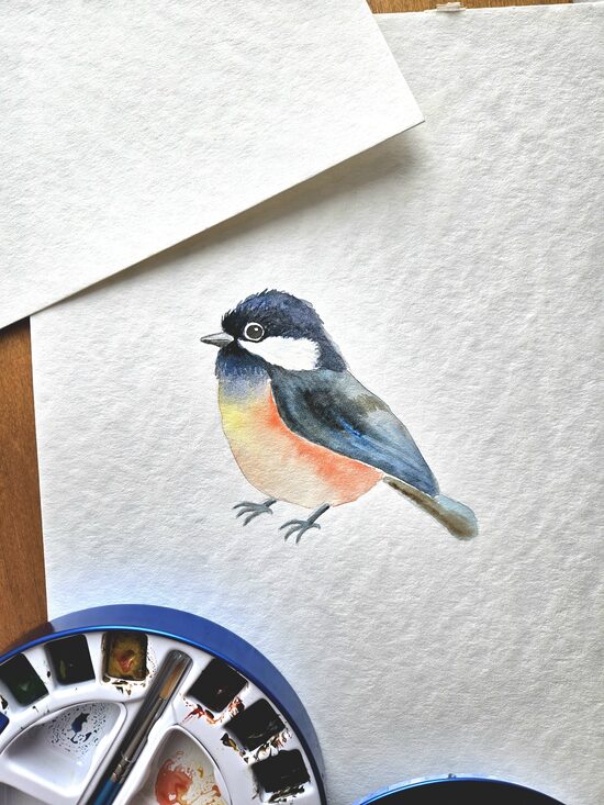 Great Tit. A4 Watercolor Painting.